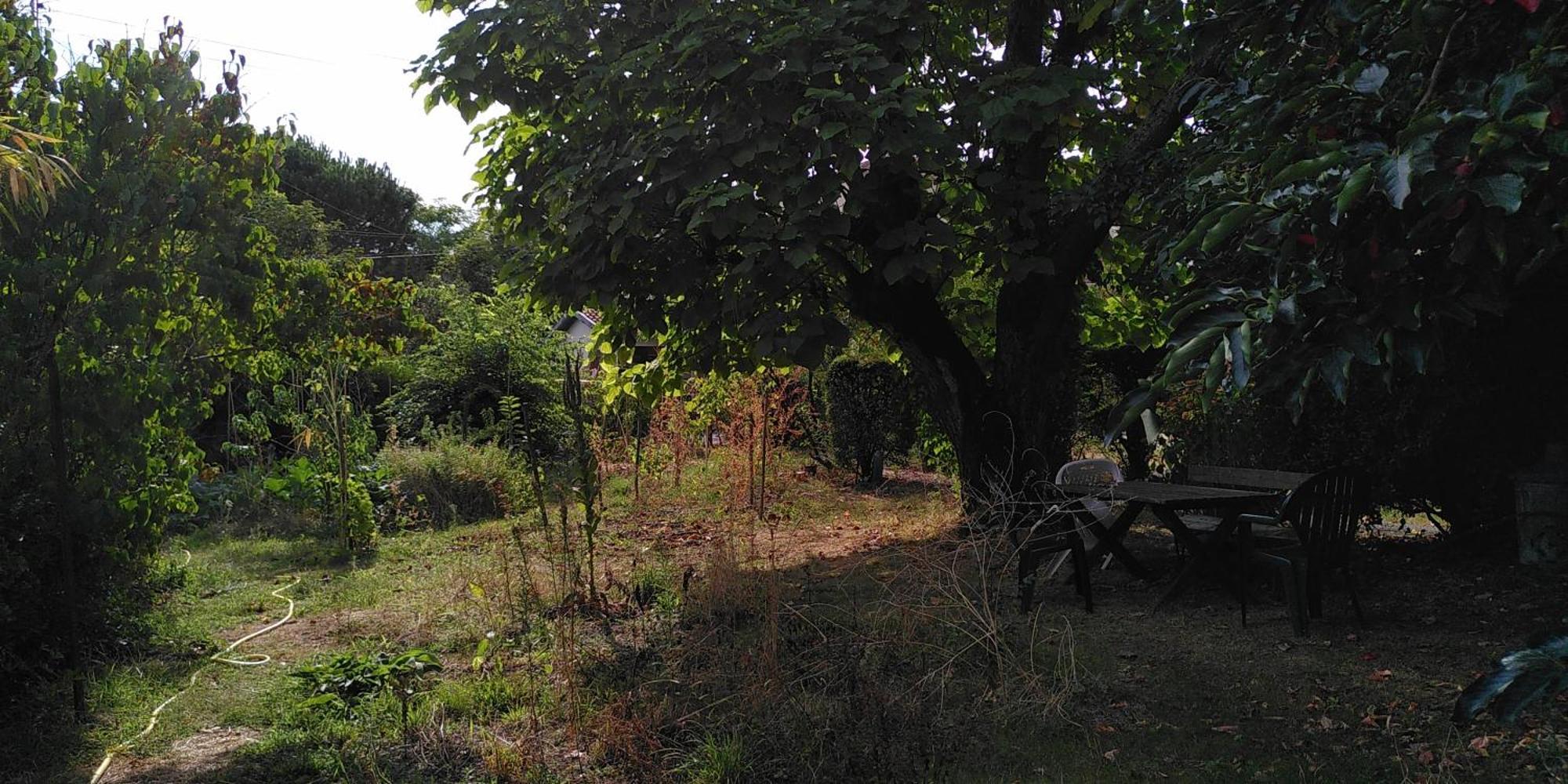 Villa Lulu Mérignac Esterno foto